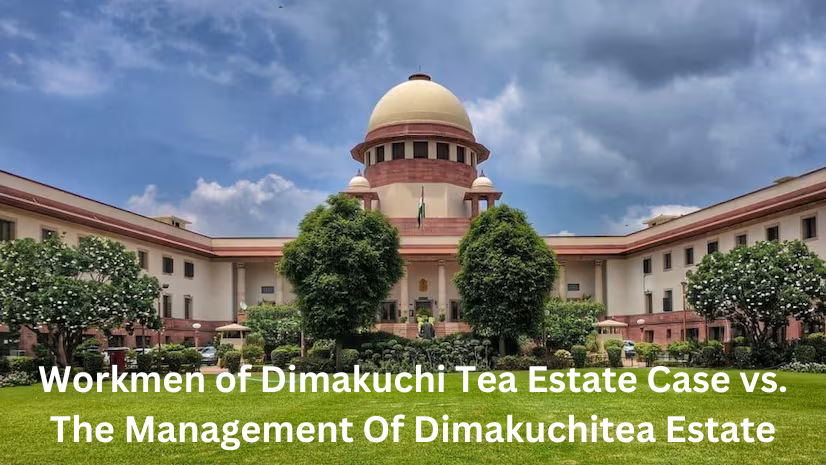 Dimakuchi tea estate case